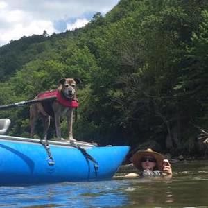 Meet your Posher, Anna